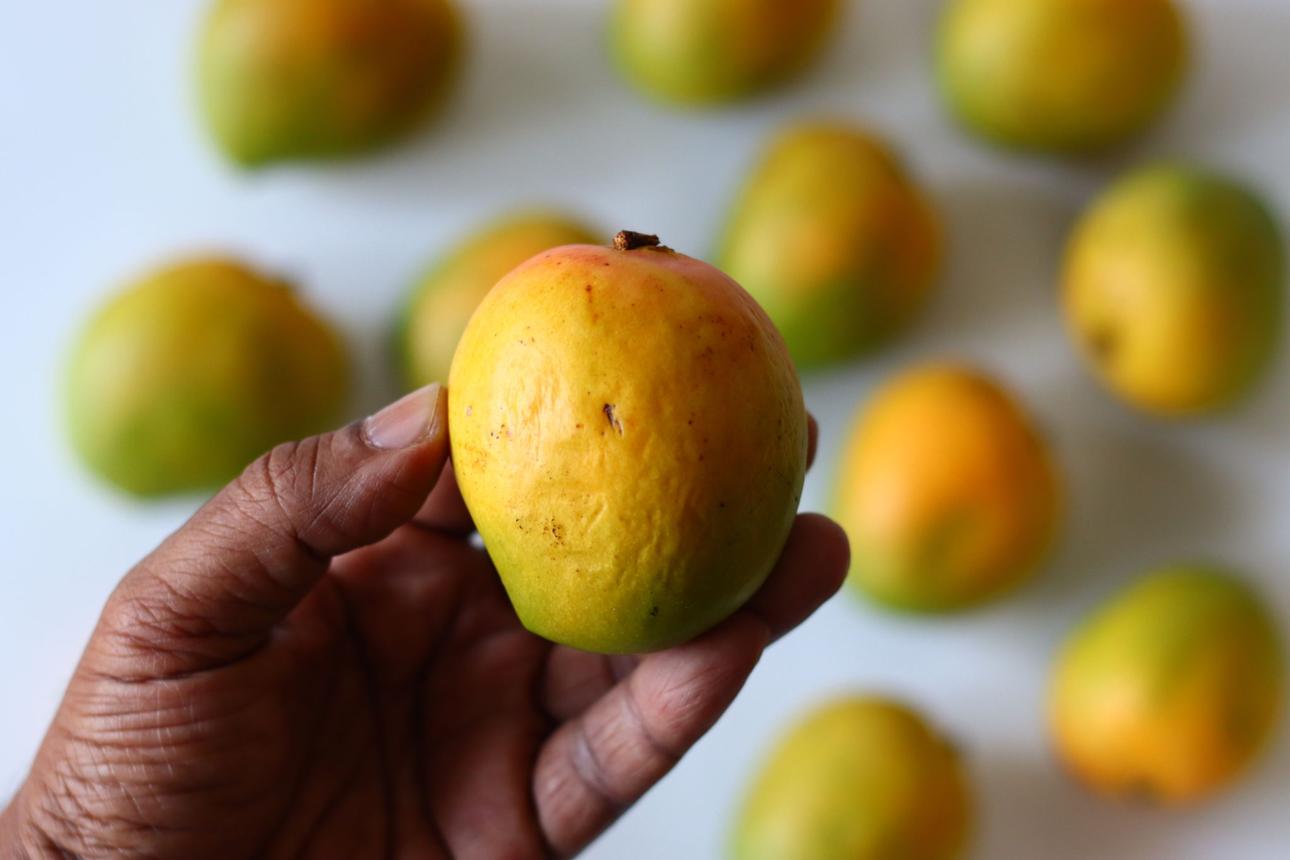 Lalbug Mango