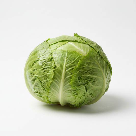 Iceberg lettuce